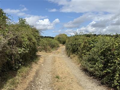 Picture 12